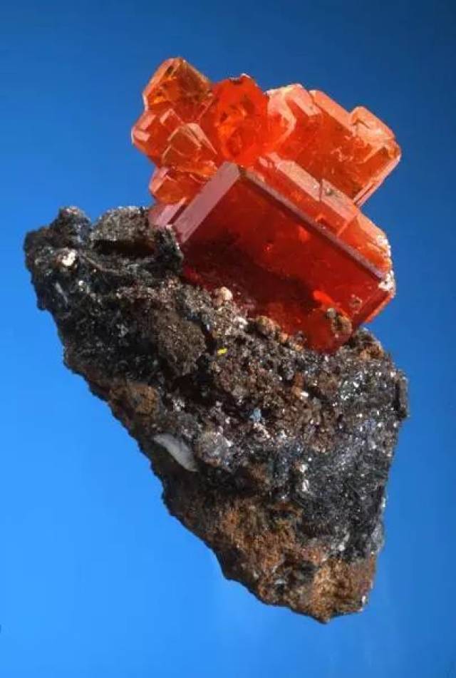 ayx-.涯?瘍l?钼1〃??的简单介绍